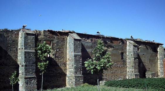 Muro lateral del convento de la visitación en Puebla de Alcocer, Badajoz